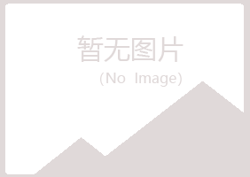 鱼峰区问雁会计有限公司